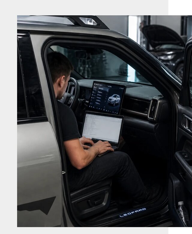 Русификация BYD Leopard 3 в Котласе по цене от 20622 р. | ФастМобиль-Ктл